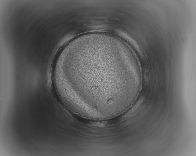 X0000102271411200808081431