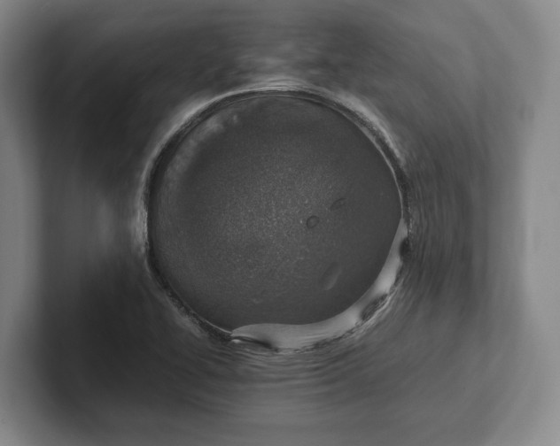 X0000102271414200808081431