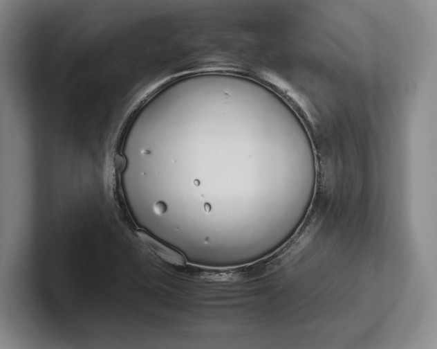 X0000102271415200808081431