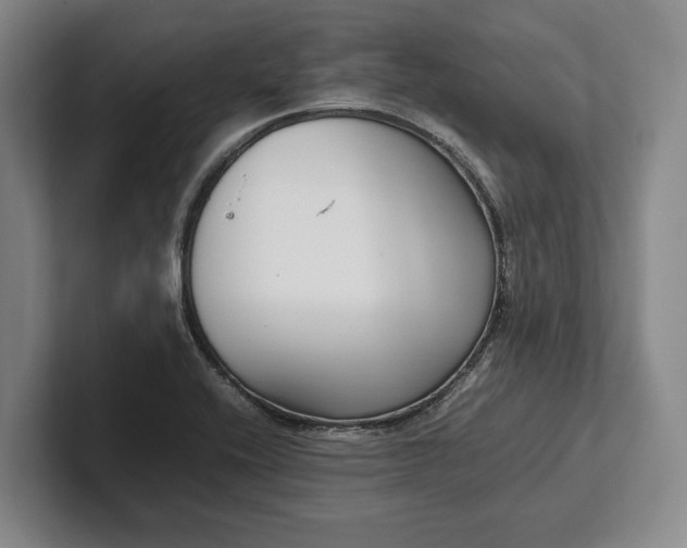 X0000102271416200808081431