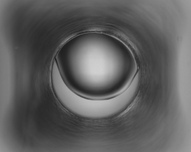 X0000102271417200808081431