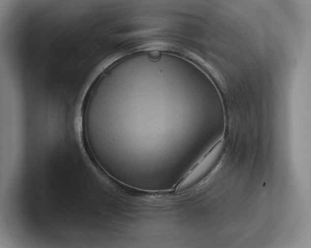 X0000102271418200808081431