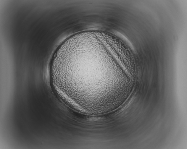 X0000102271419200808081431
