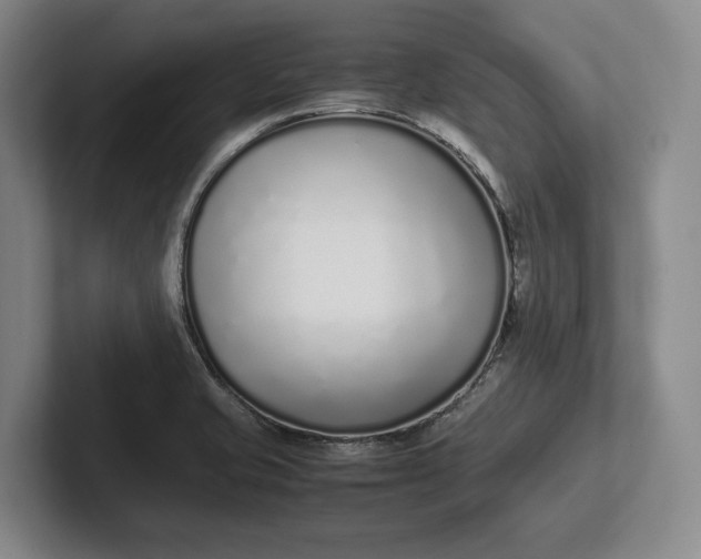 X0000102271421200808081431