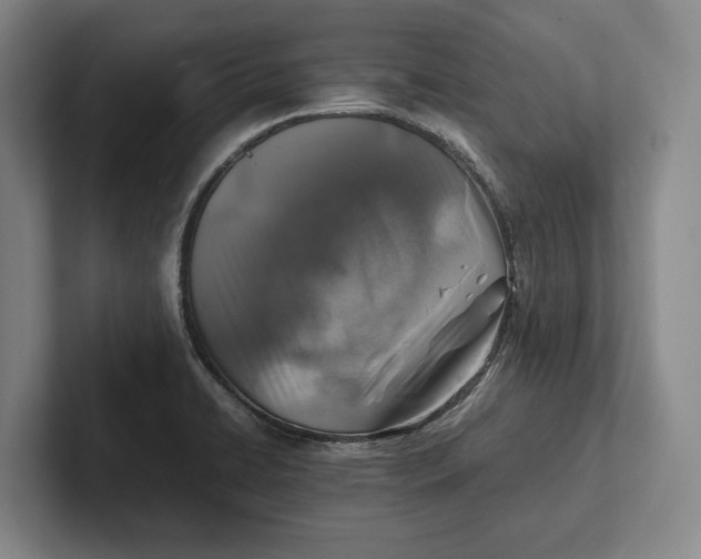 X0000102271422200808081431