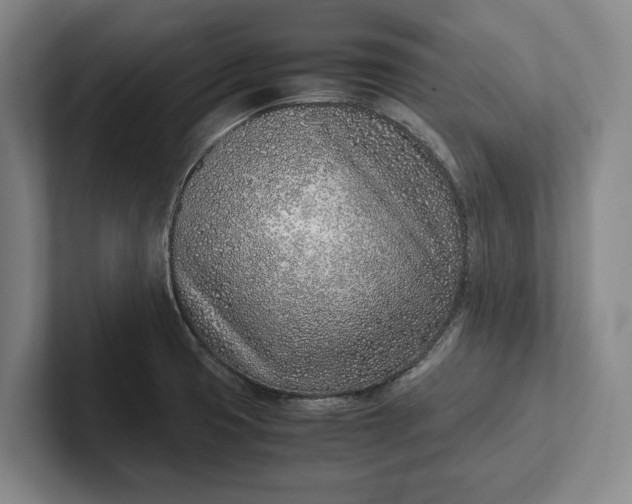 X0000102271425200808081431