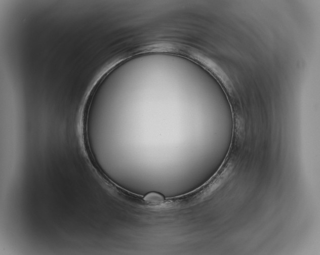X0000102271426200808081431