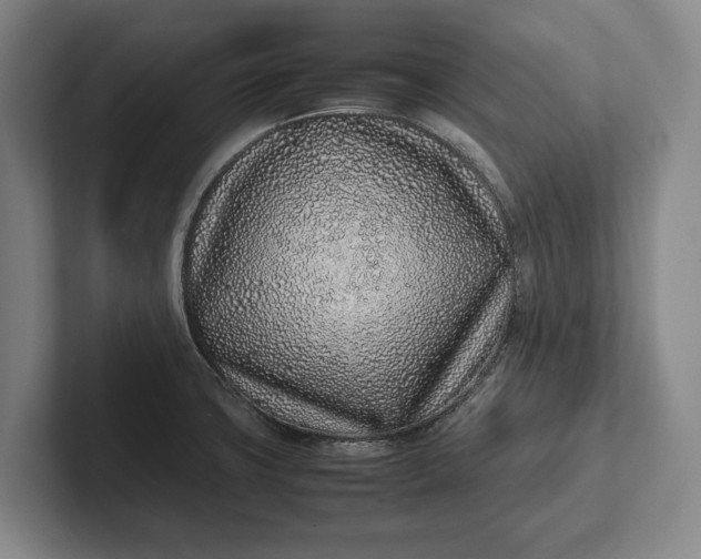 X0000102271427200808081431