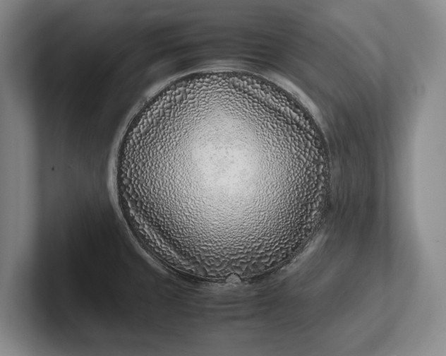 X0000102271429200808081431