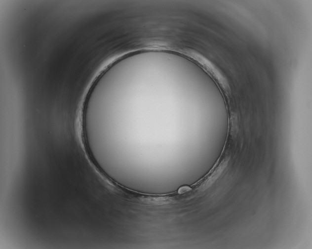 X0000102271432200808081431