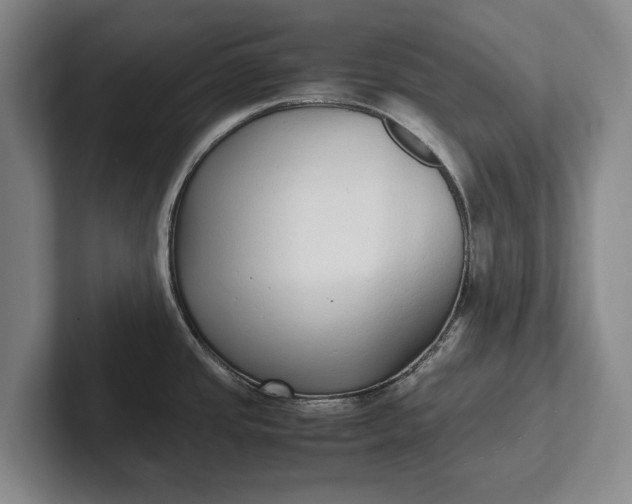 X0000102271437200808081431