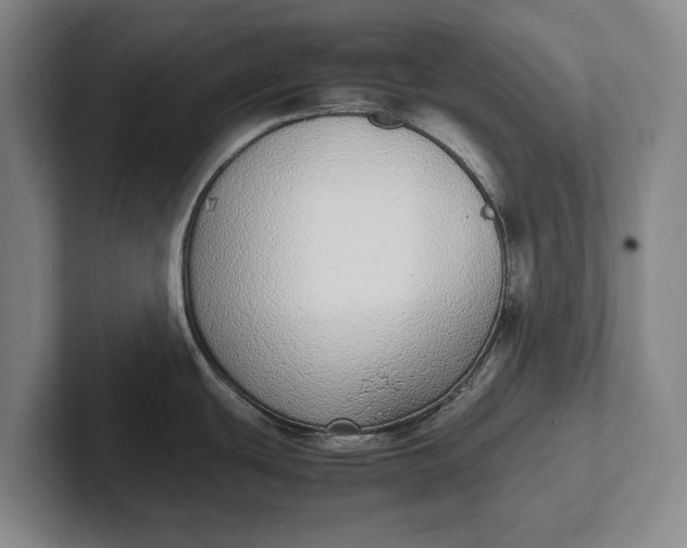 X0000102271439200808081431