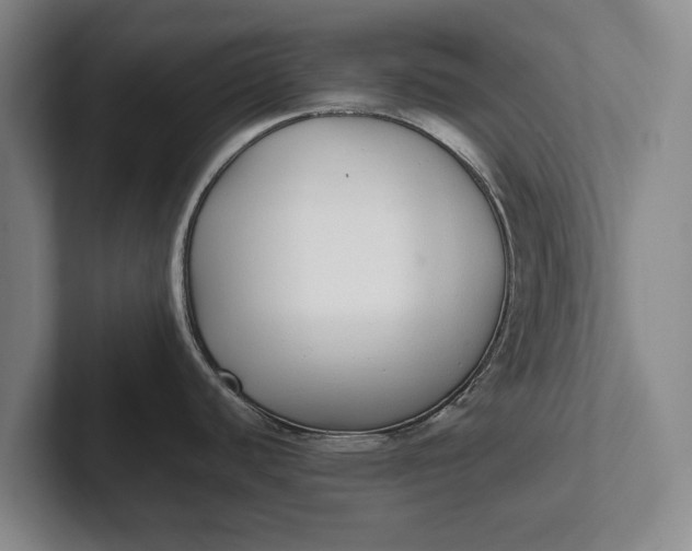 X0000102271440200808081431