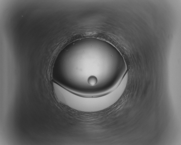 X0000102271441200808081431