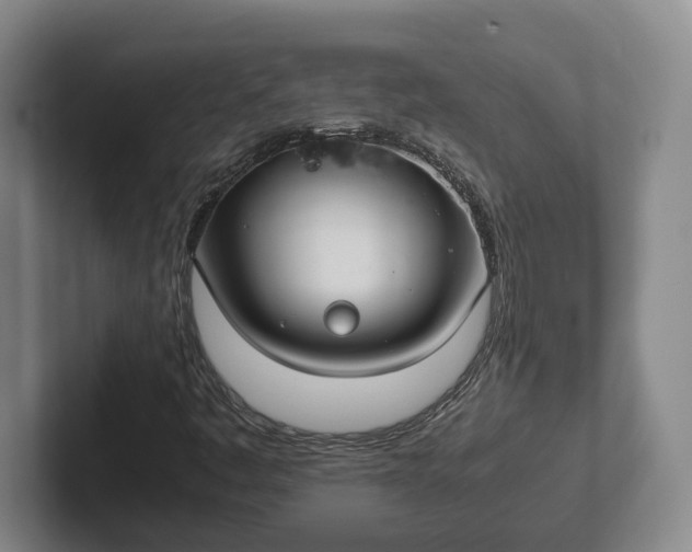 X0000102271445200808081430