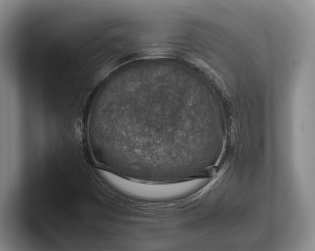 X0000102271449200808081430