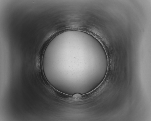X0000102271450200808081430