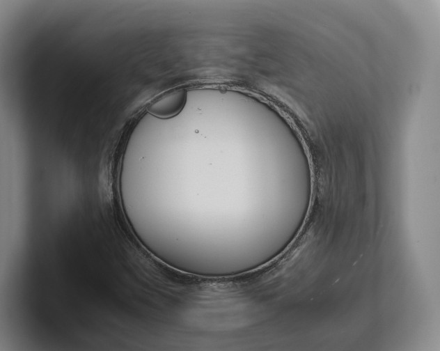 X0000102271451200808081430