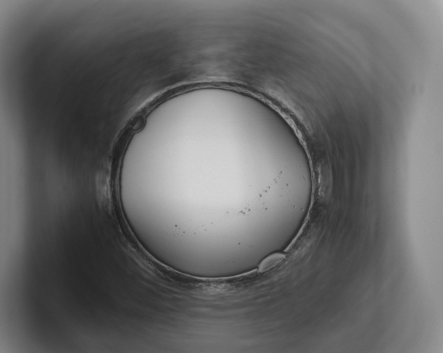 X0000102271452200808081430