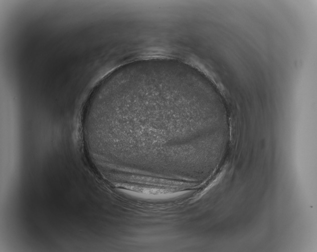 X0000102271453200808081430