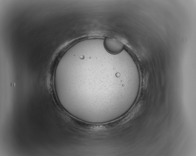X0000102271454200808081430