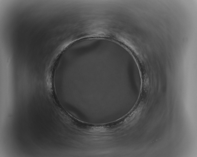 X0000102271455200808081430