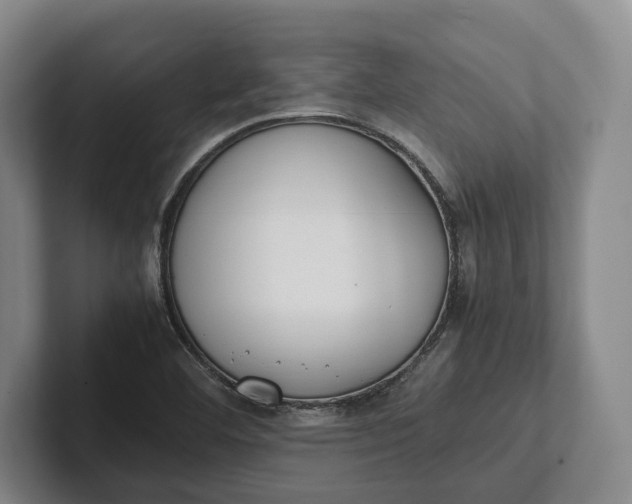 X0000102271460200808081430