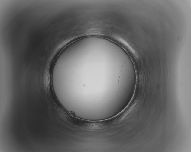 X0000102271461200808081430