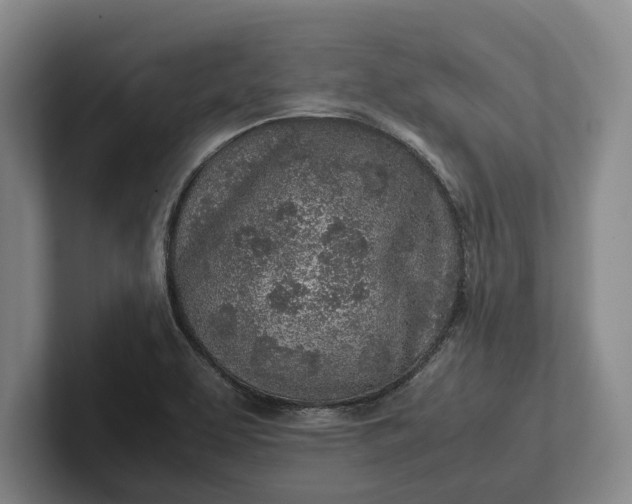 X0000102271463200808081430