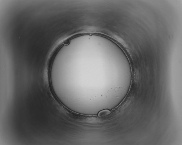 X0000102271464200808081430