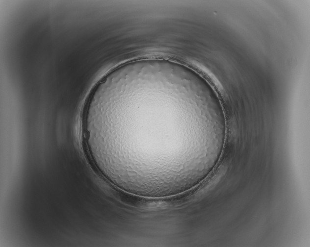 X0000102271467200808081430
