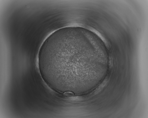 X0000102271468200808081430