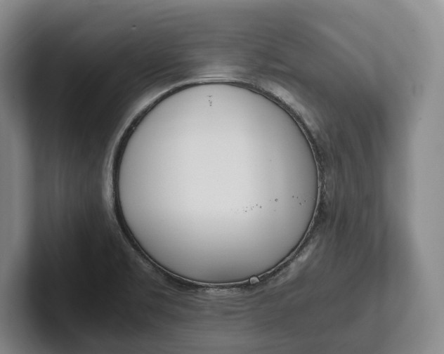 X0000102271469200808081430