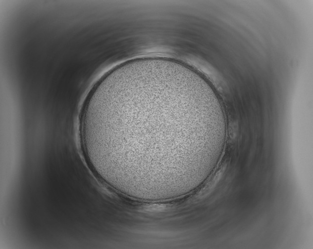 X0000102271470200808081430