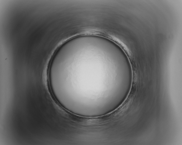 X0000102271471200808081430