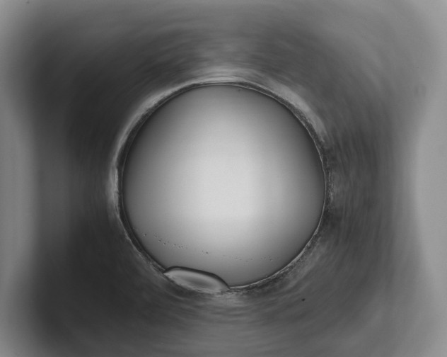 X0000102271472200808081430