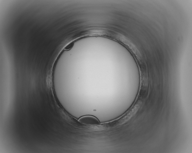 X0000102271473200808081430