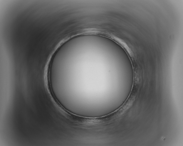 X0000102271475200808081430