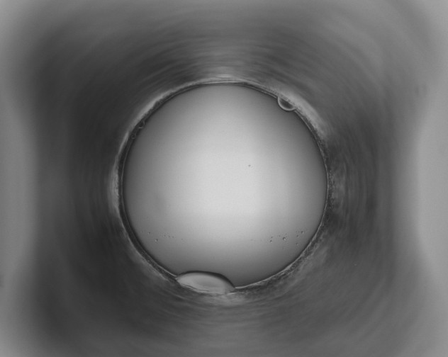 X0000102271476200808081430