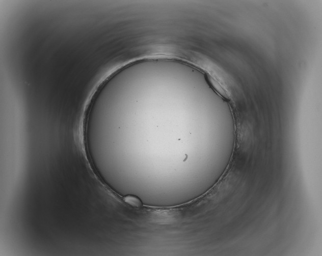 X0000102271480200808081430