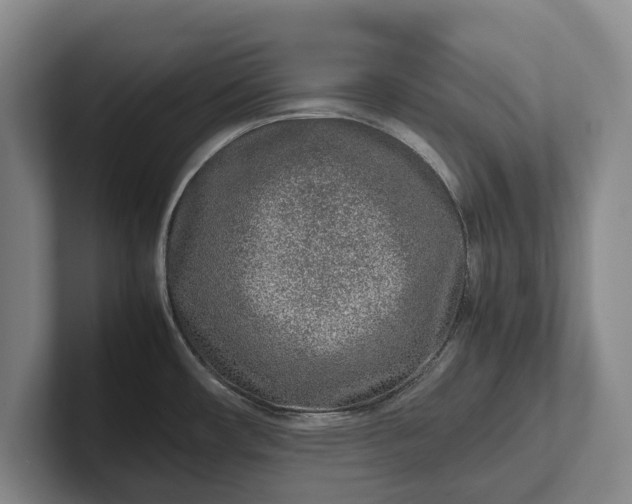 X0000102271482200808081430