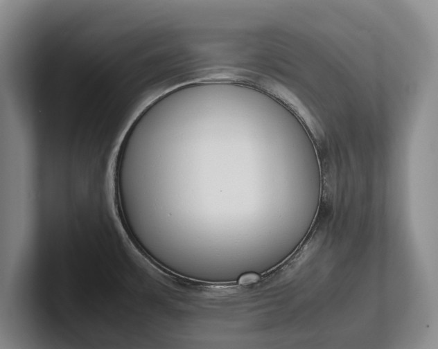 X0000102271483200808081430