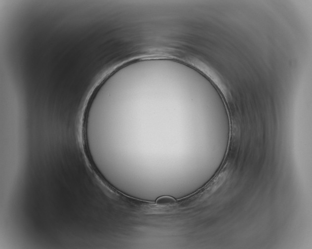 X0000102271485200808081430
