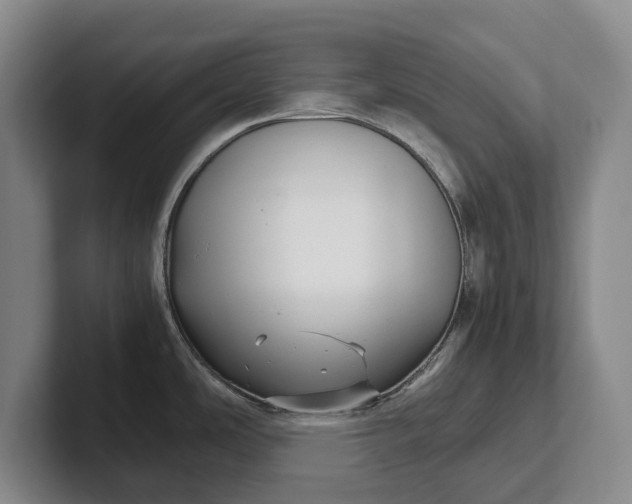X0000102271486200808081430