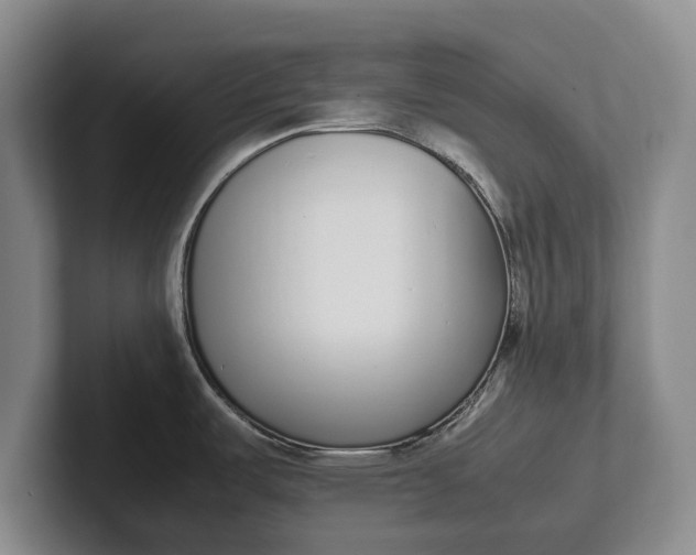 X0000102271487200808081430