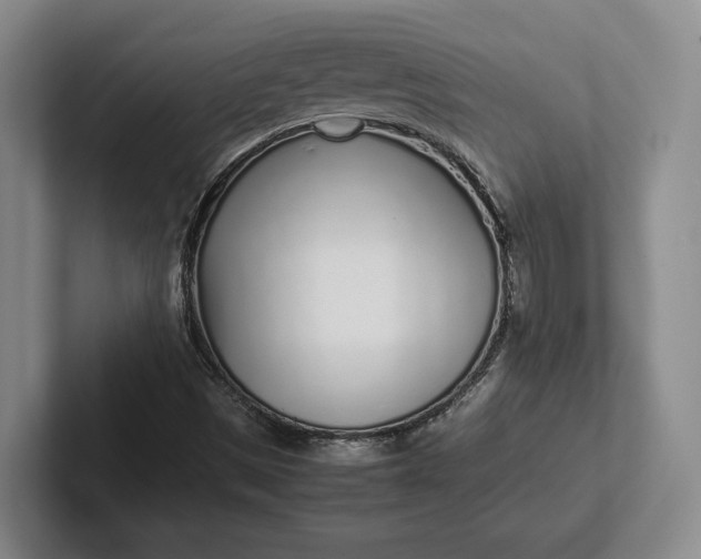 X0000102271497200808081429