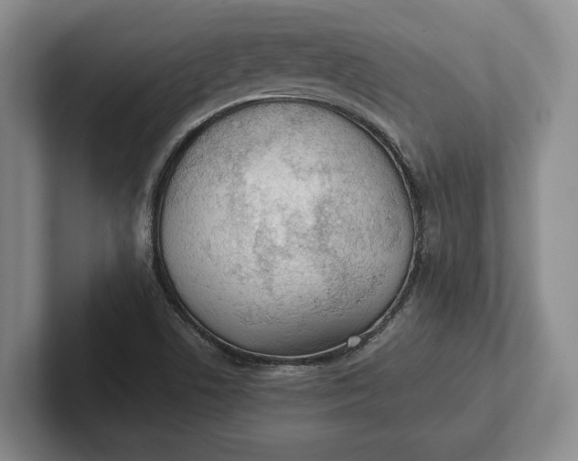 X0000102271506200808081430