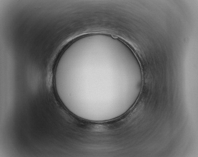X0000102271507200808081430