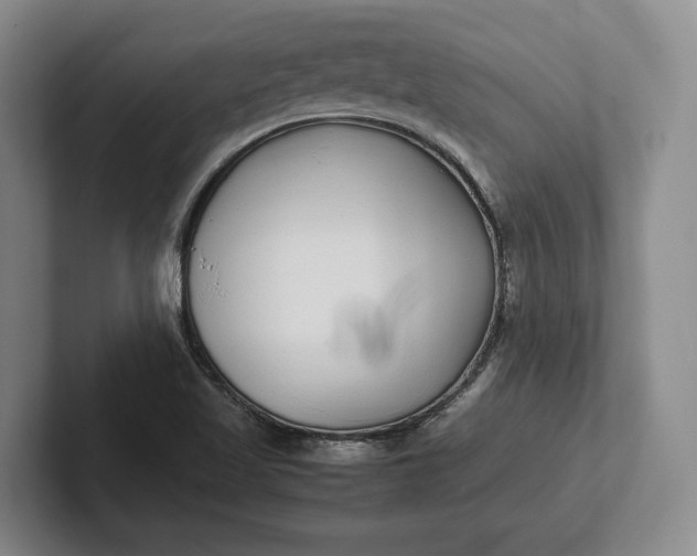 X0000102271509200808081430