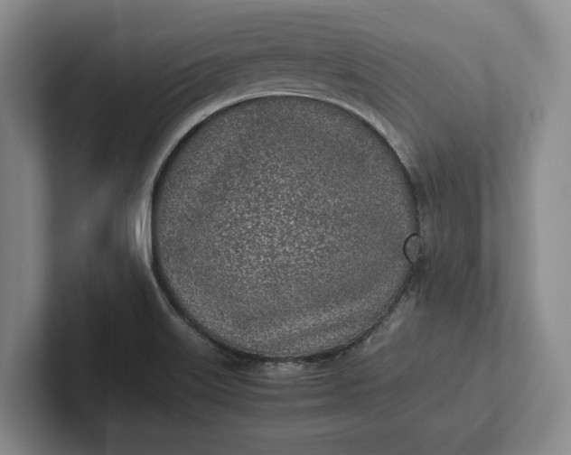 X0000102271515200808081430